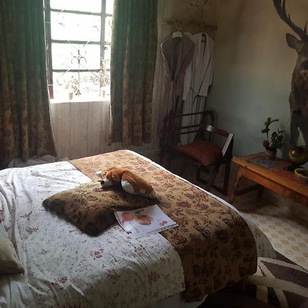 Sasana Motel And Guest House Bungoma Esterno foto